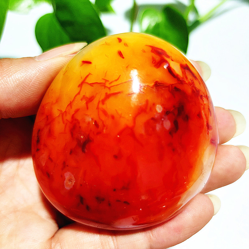 Натуральный камень Sardonyx аг – обзор и цена Aquarium Marine Stone