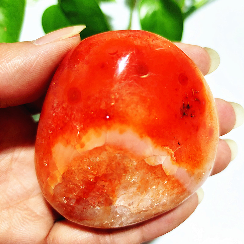 Натуральный камень Sardonyx аг – обзор и цена Aquarium Marine Stone