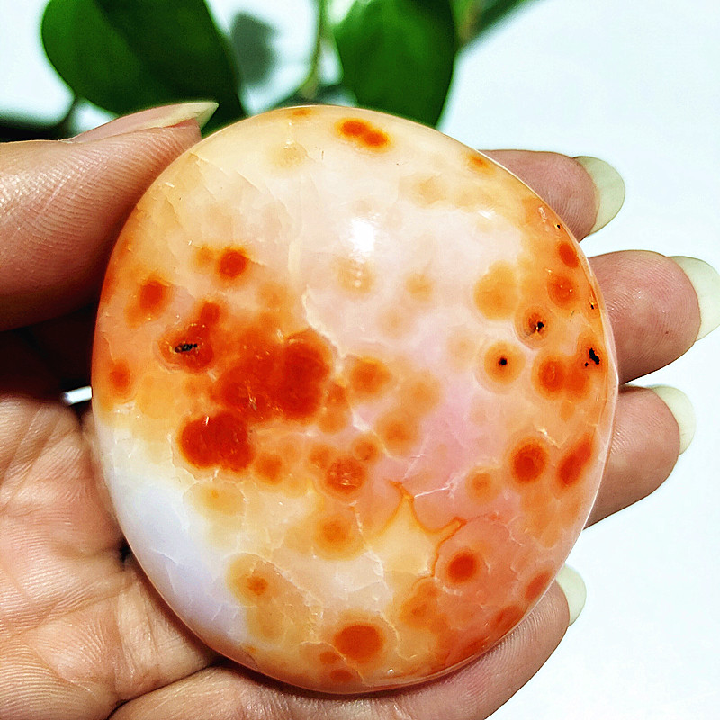 Натуральный камень Sardonyx аг – обзор и цена Aquarium Marine Stone