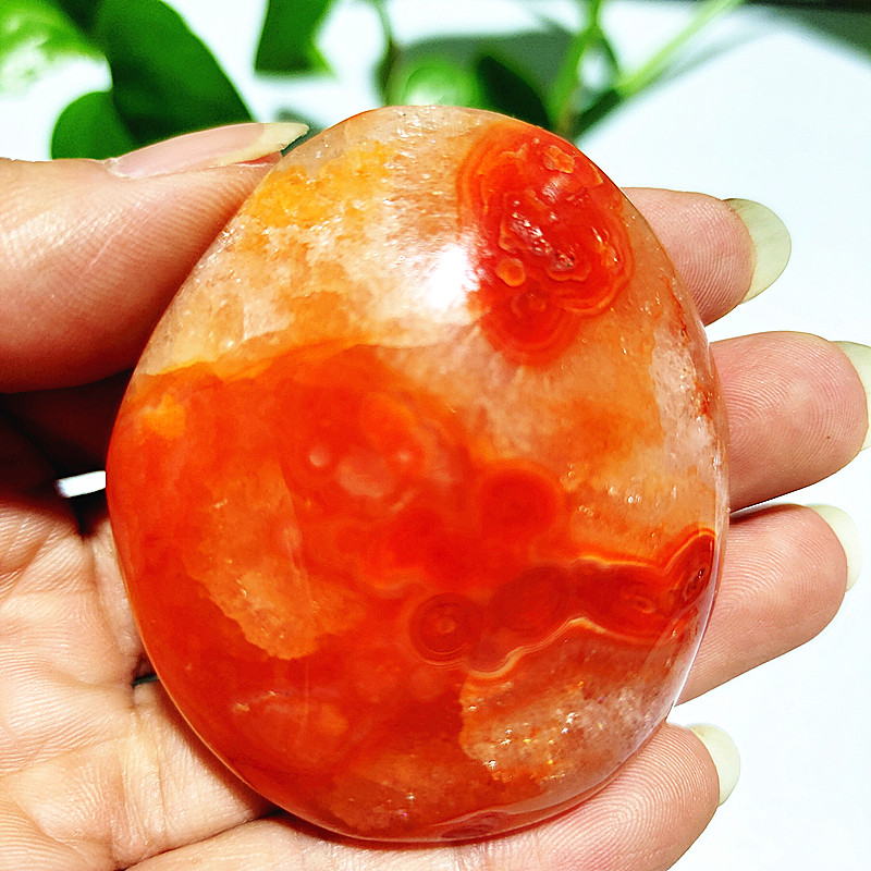 Натуральный камень Sardonyx аг – обзор и цена Aquarium Marine Stone