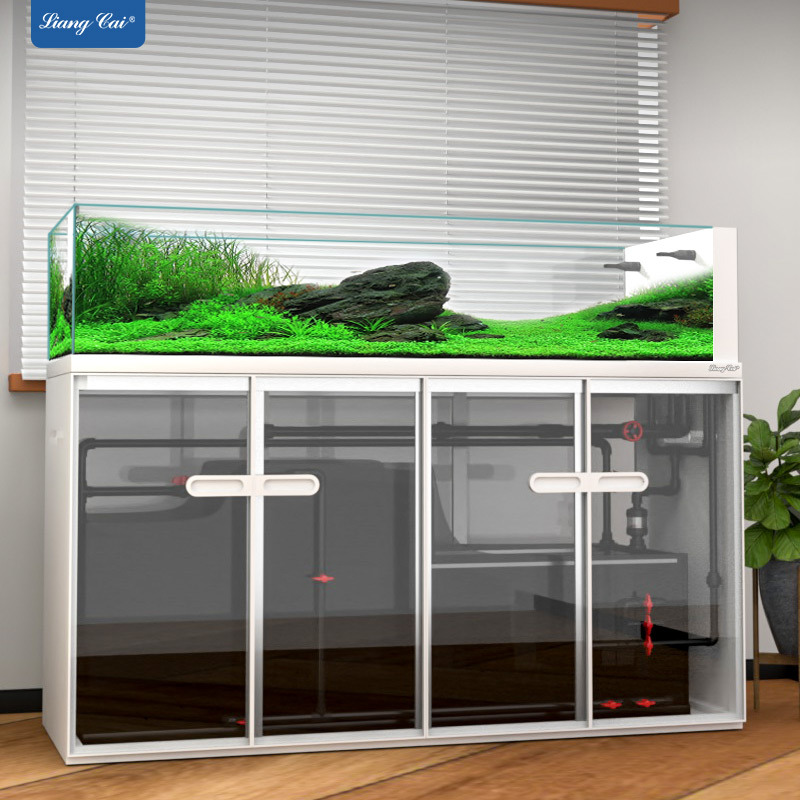 Большой современный стиль, сте – обзор и цена Aquarium Marine Fish For Sale