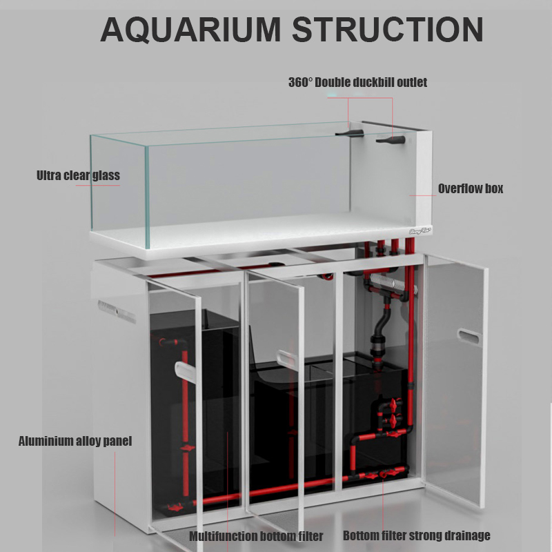 Большой современный стиль, сте – обзор и цена Aquarium Marine Fish For Sale