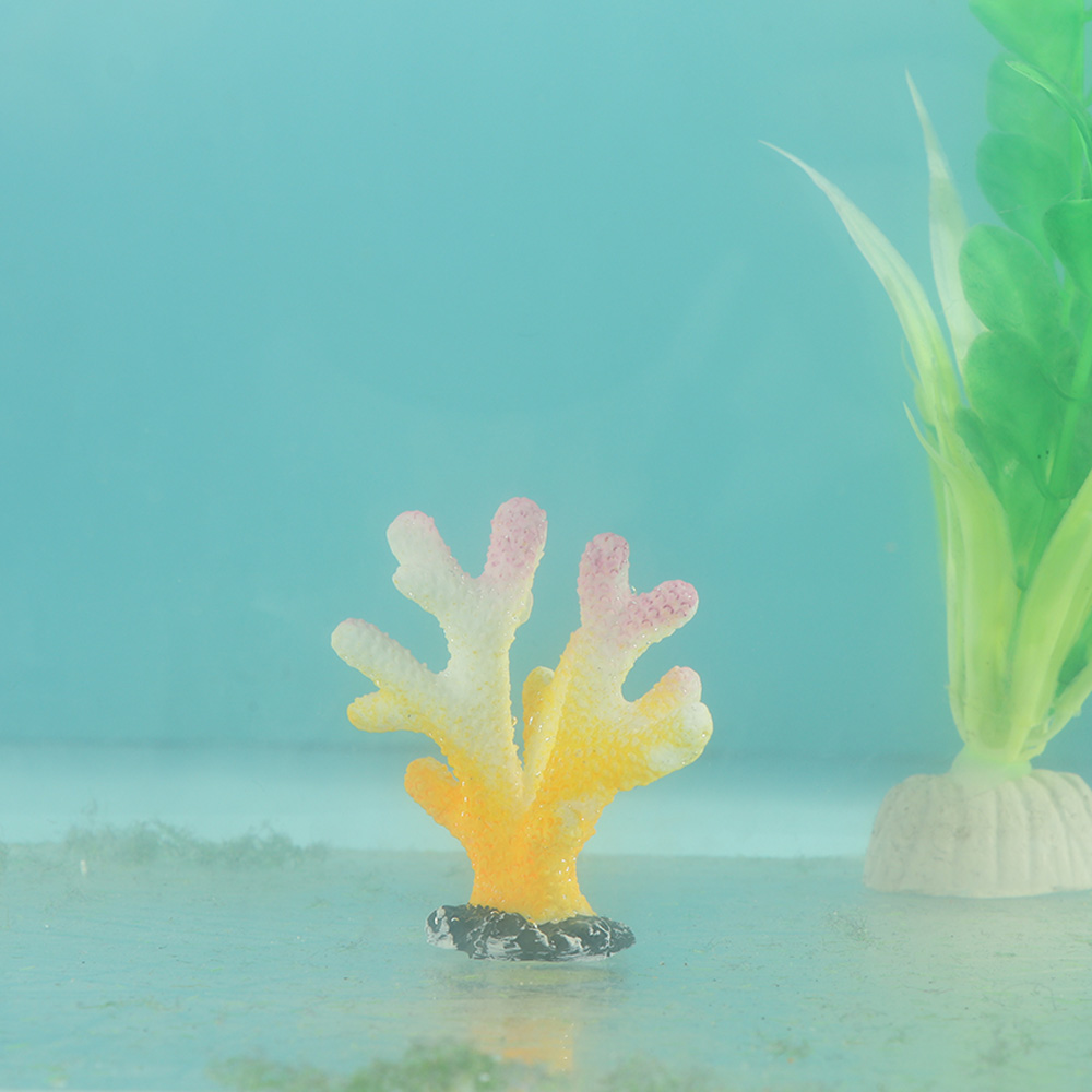 Искусственные Коралловые украш – обзор и цена Marine Aquarium Tanks