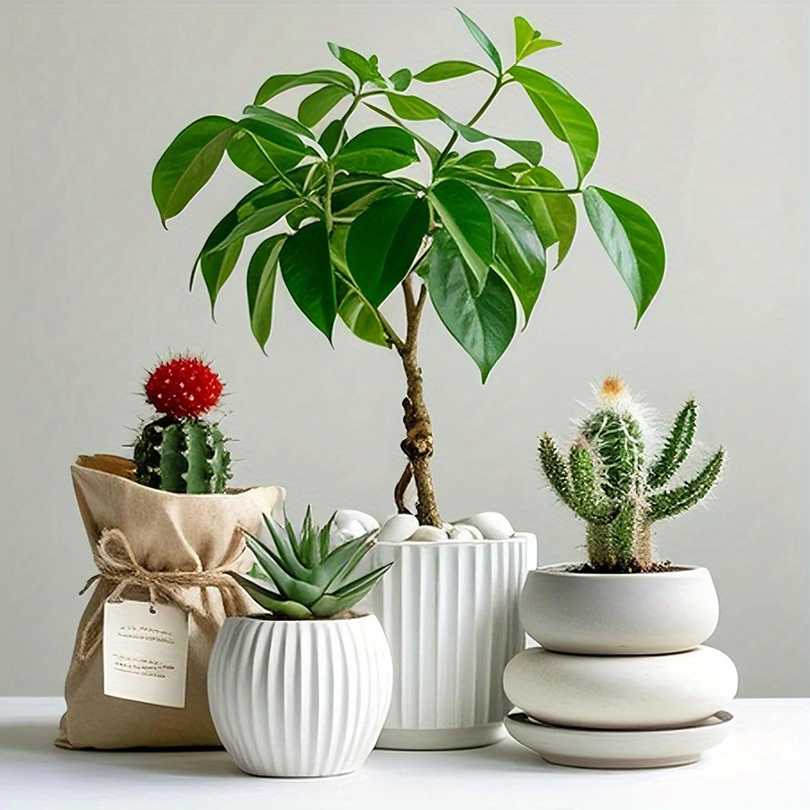 200/400 г белые полированные н – обзор и цена Marine Aquarium Tanks