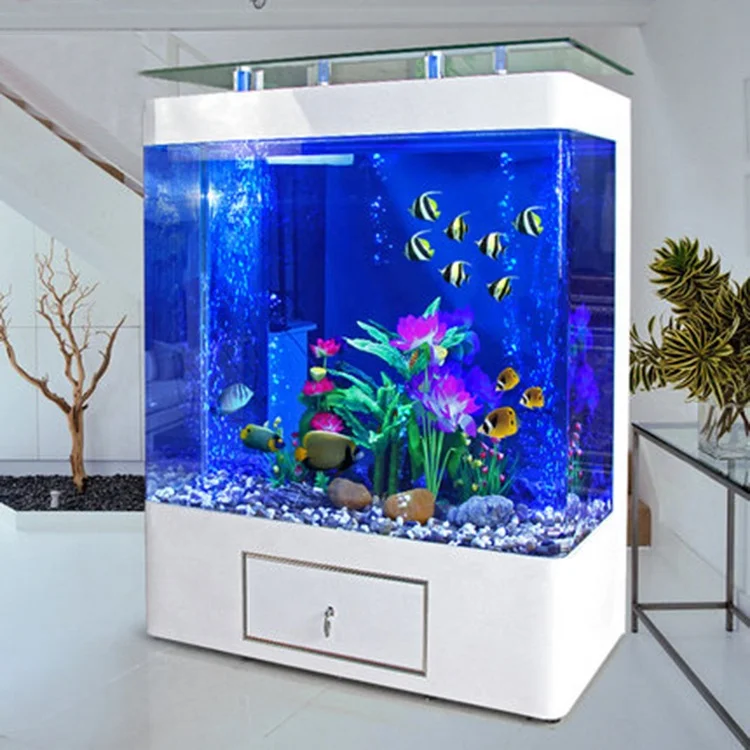 Индивидуальный большой аквариу – обзор и цена Aquarium Marine Fish For Sale