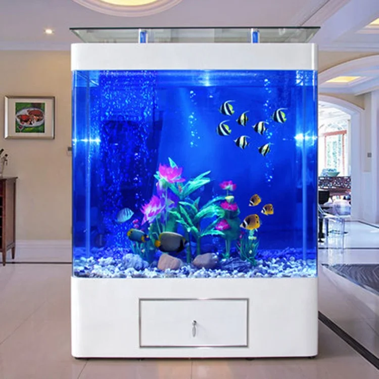 Индивидуальный большой аквариу – обзор и цена Aquarium Marine Fish For Sale