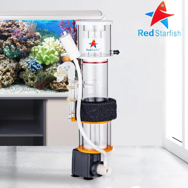 Red StarFish Protein Skimmer У – обзор и цена Marine Aquarium & Regional Centre